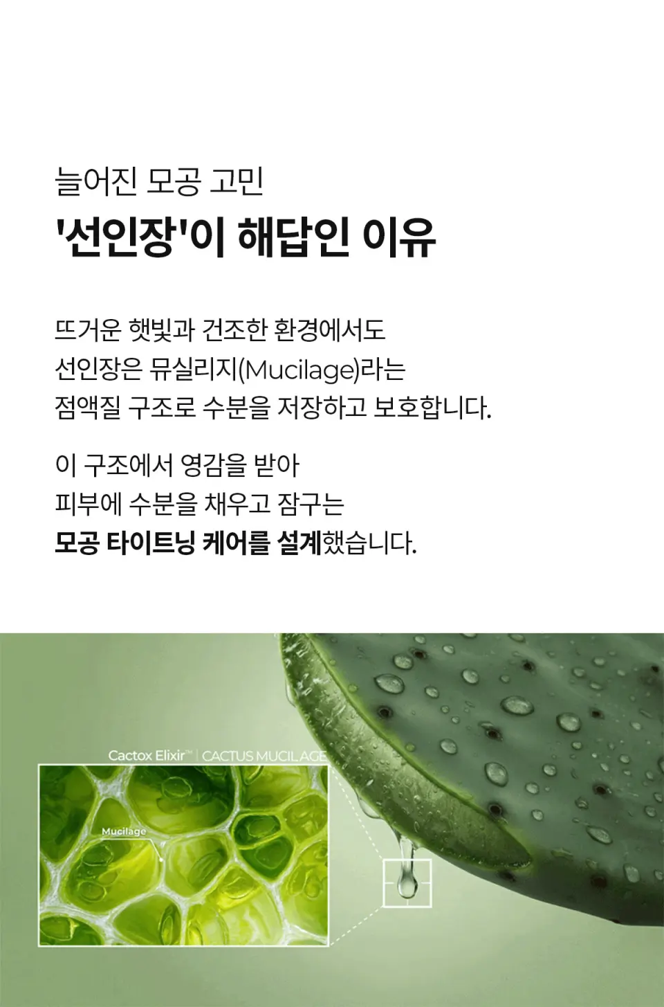 칵톡스 포어 릴리프 스크럽 클렌징 오일 Detail