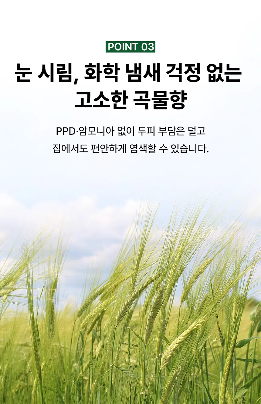 맥주효모 물염색 Detail
