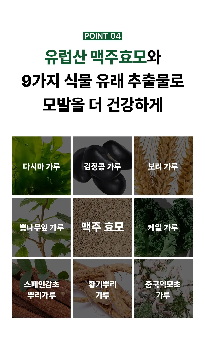 맥주효모 물염색 Detail