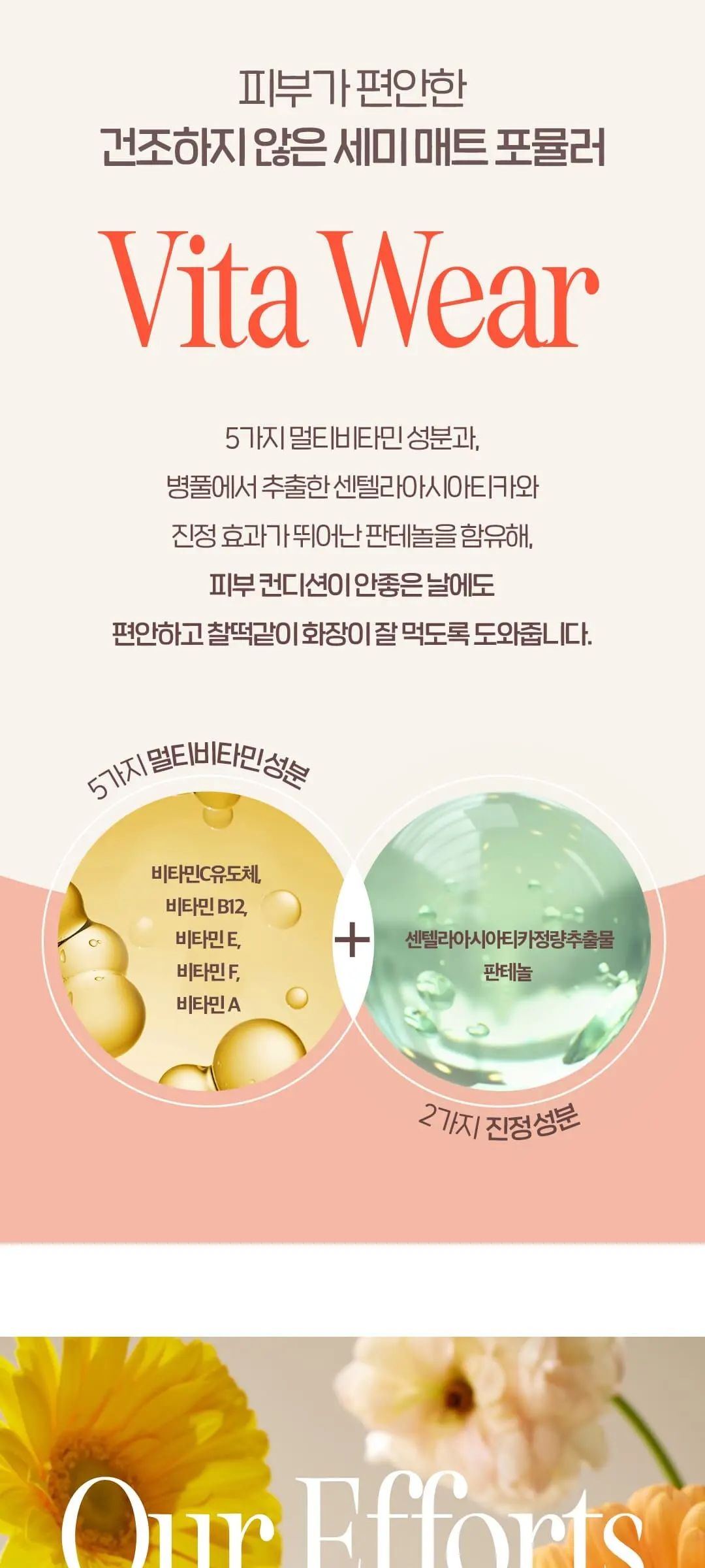 비타웨어 커버쿠션 Detail