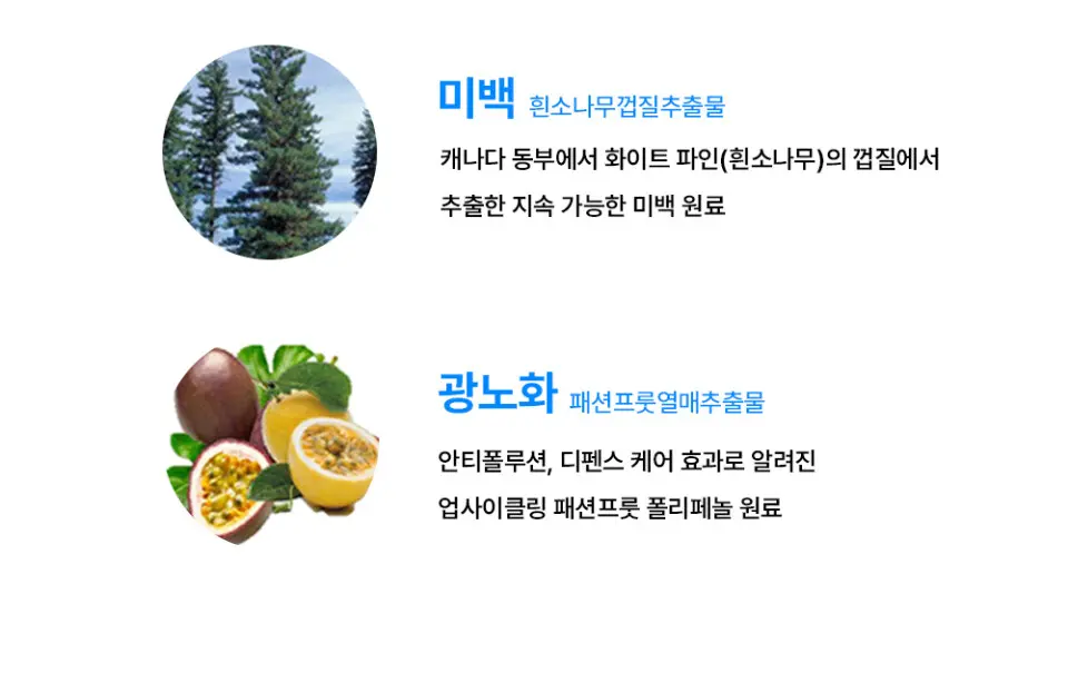 미니언즈 스포츠 톤업 선쿠션 SPF50+PA++++ 15g, 1개 Detail