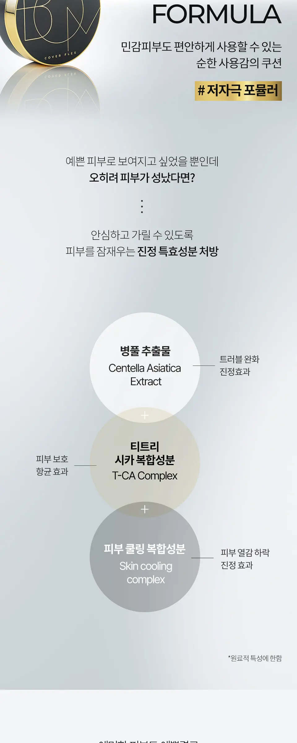 커버 플렉스 쿠션 SPF50+PA+++ Detail