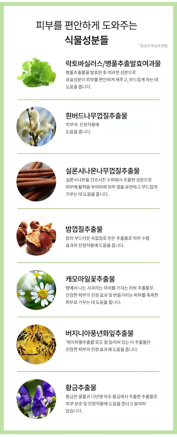 자이모겐 센텔라 발효 세럼, 1개, 105ml Detail