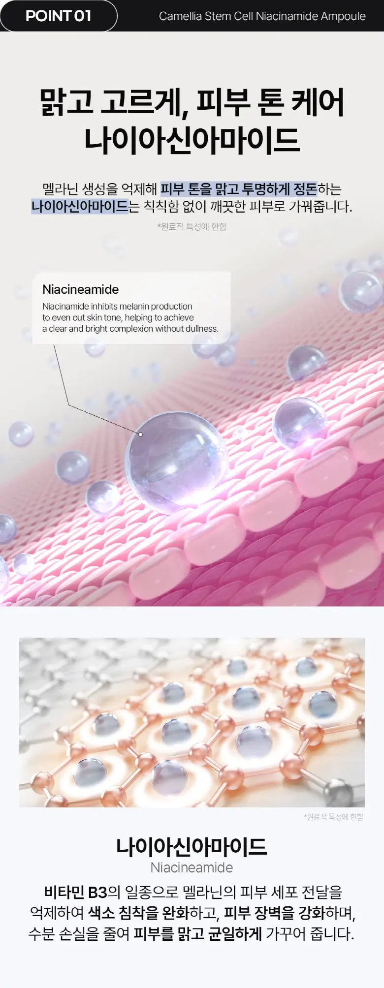 폴메디슨 동백줄기세포 나이아신아마이드 앰플, 1개, 30ml Detail