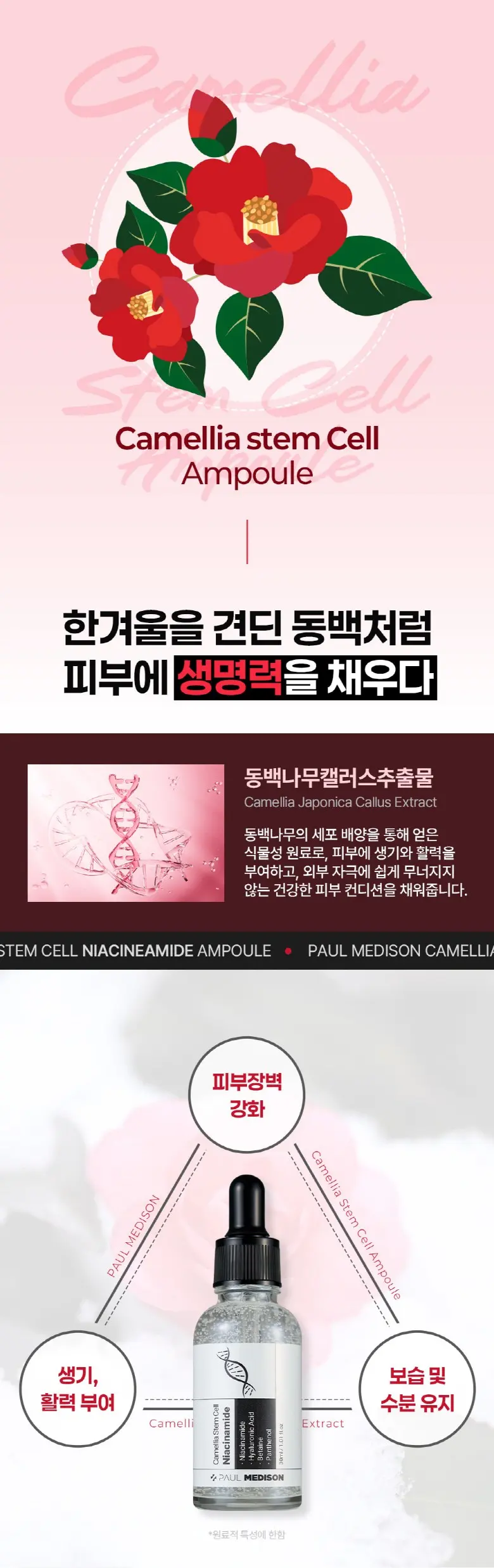폴메디슨 동백줄기세포 나이아신아마이드 앰플, 1개, 30ml Detail