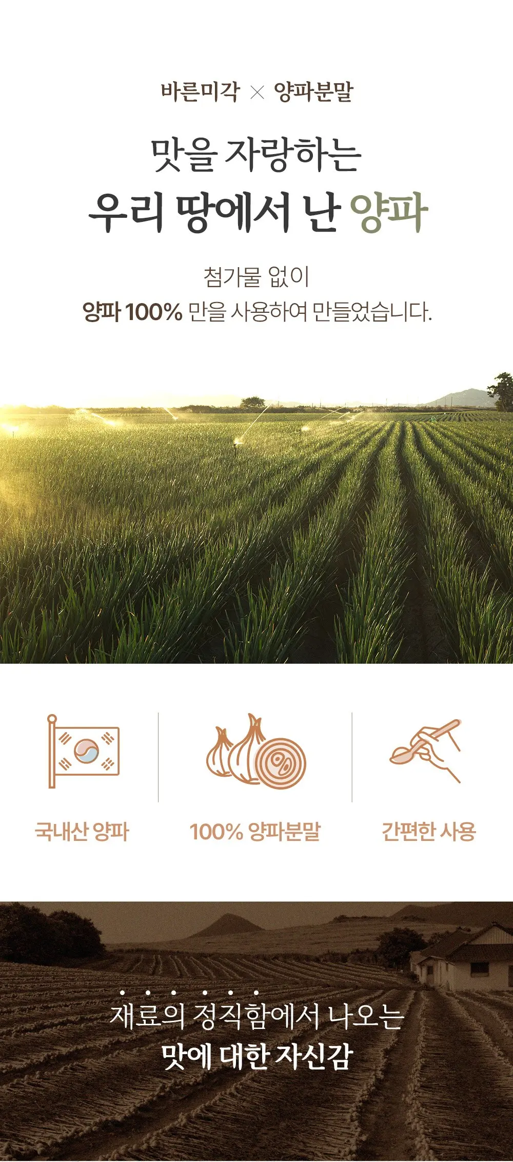 바른미각 양파분말, 1개, 60g Detail