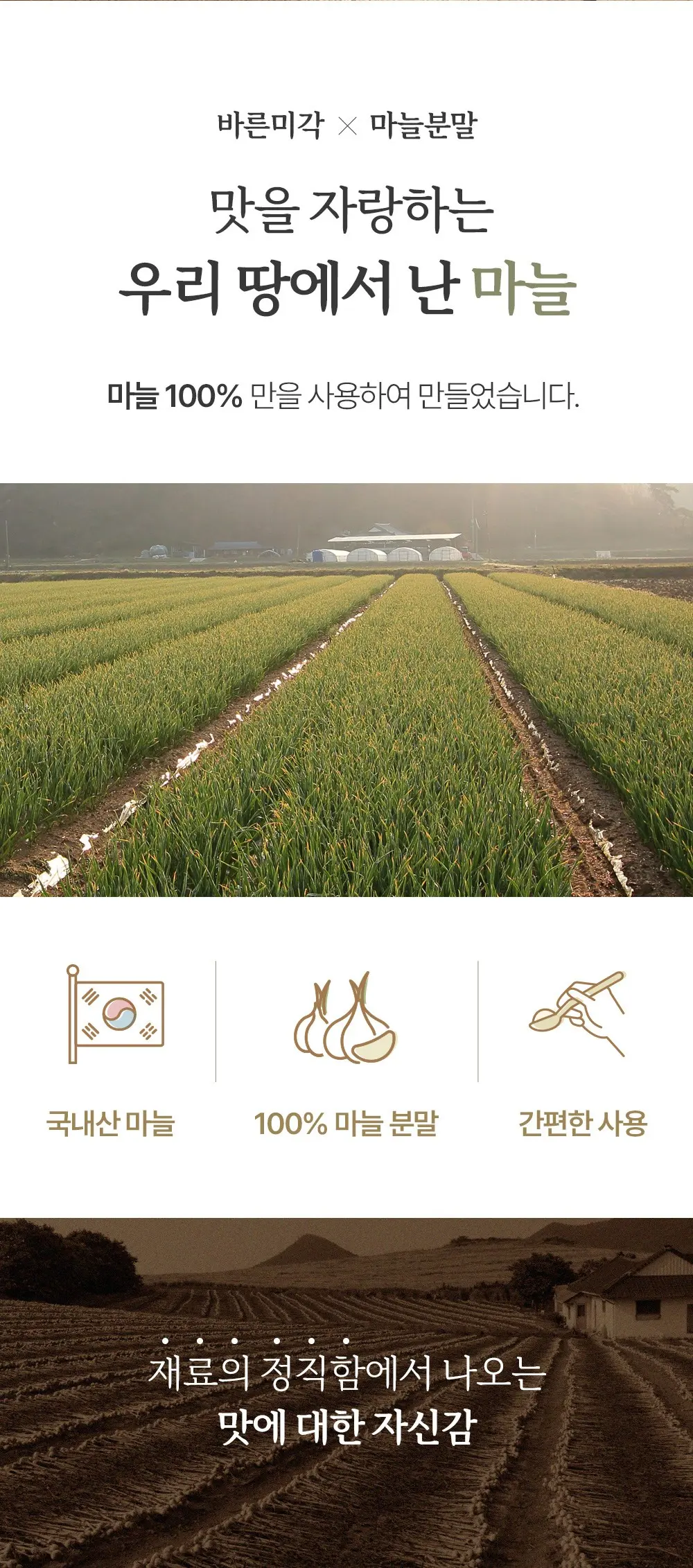 바른미각 마늘 분말, 1개, 60g Detail