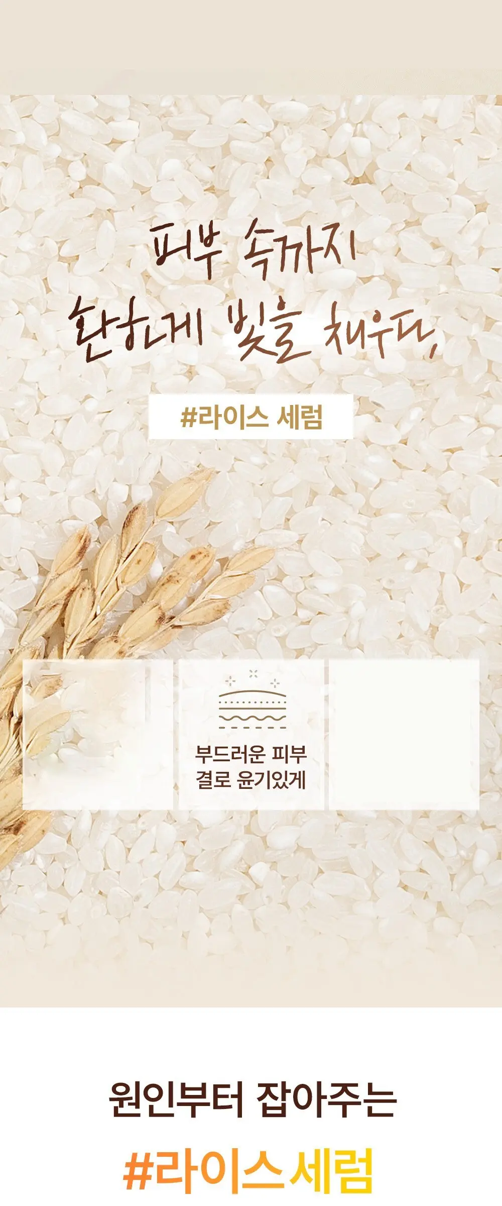 마리엔메이 나이아신 트리플 비타민 세럼, 1개, 80ml Detail