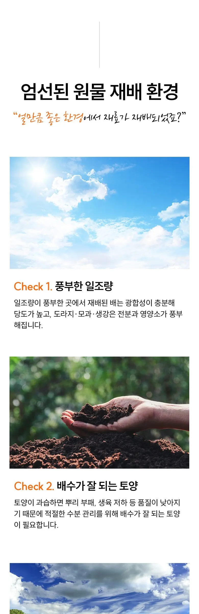 목이 너무 힘들고 불편할때 국내산 100% 배도라지즙 바른농장 유산균7종 함유, 2박스, 300g Detail