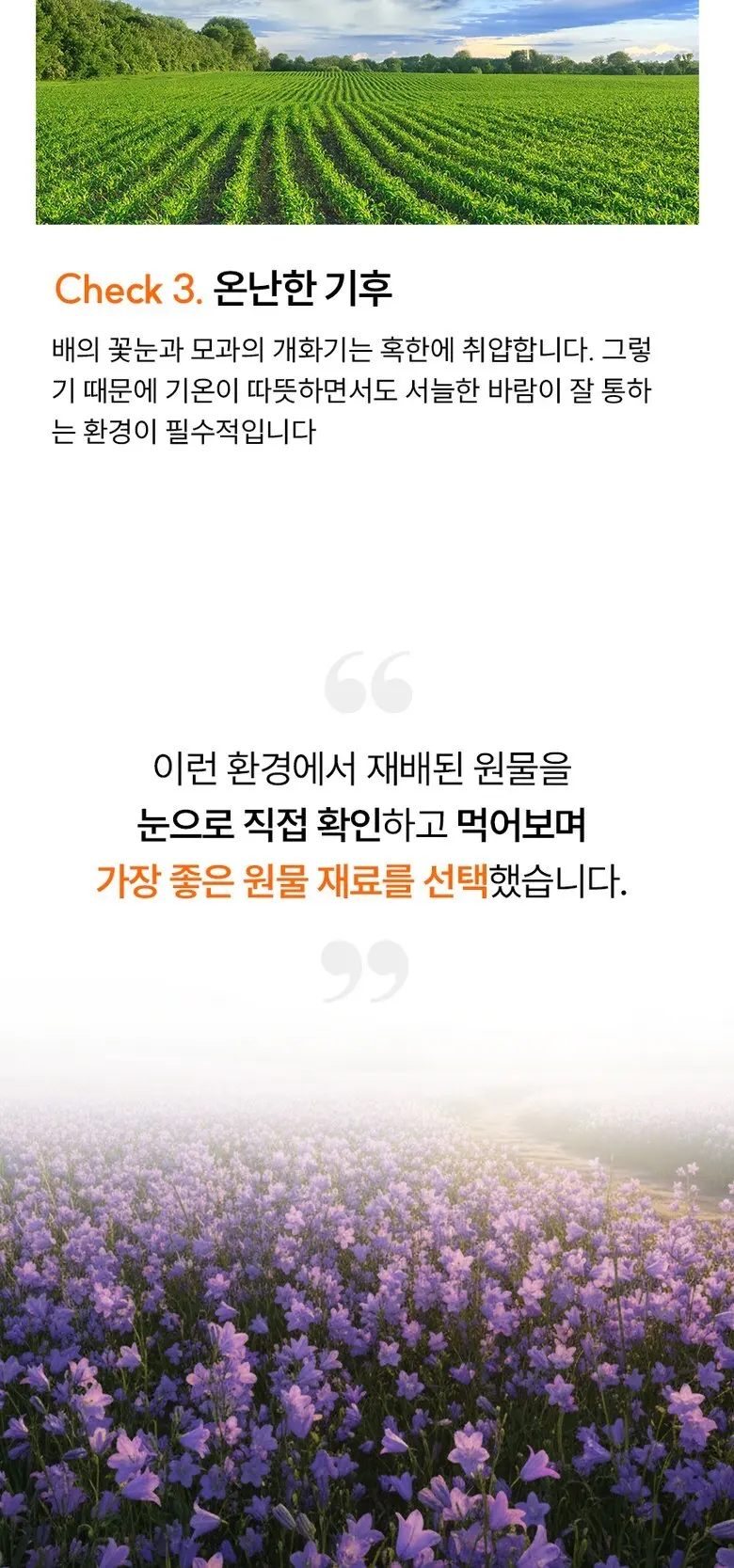 목이 너무 힘들고 불편할때 국내산 100% 배도라지즙 바른농장 유산균7종 함유, 2박스, 300g Detail