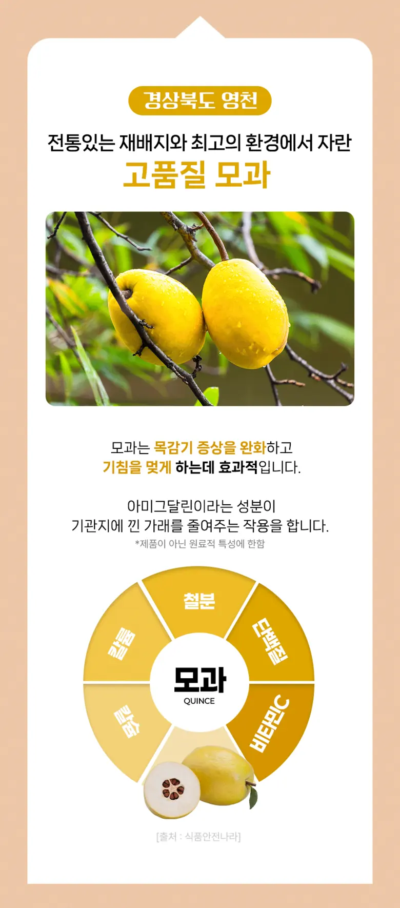 목이 너무 힘들고 불편할때 국내산 100% 배도라지즙 바른농장 유산균7종 함유, 2박스, 300g Detail