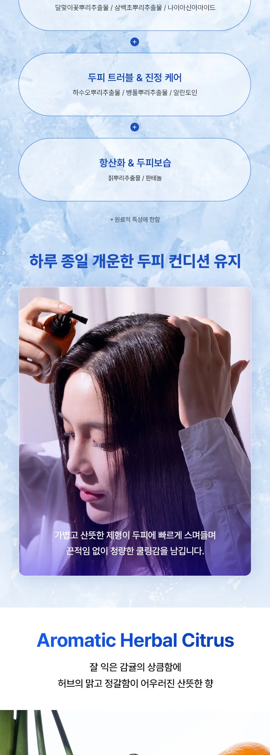 루트 레미디 스칼프 토닉 100ml Detail