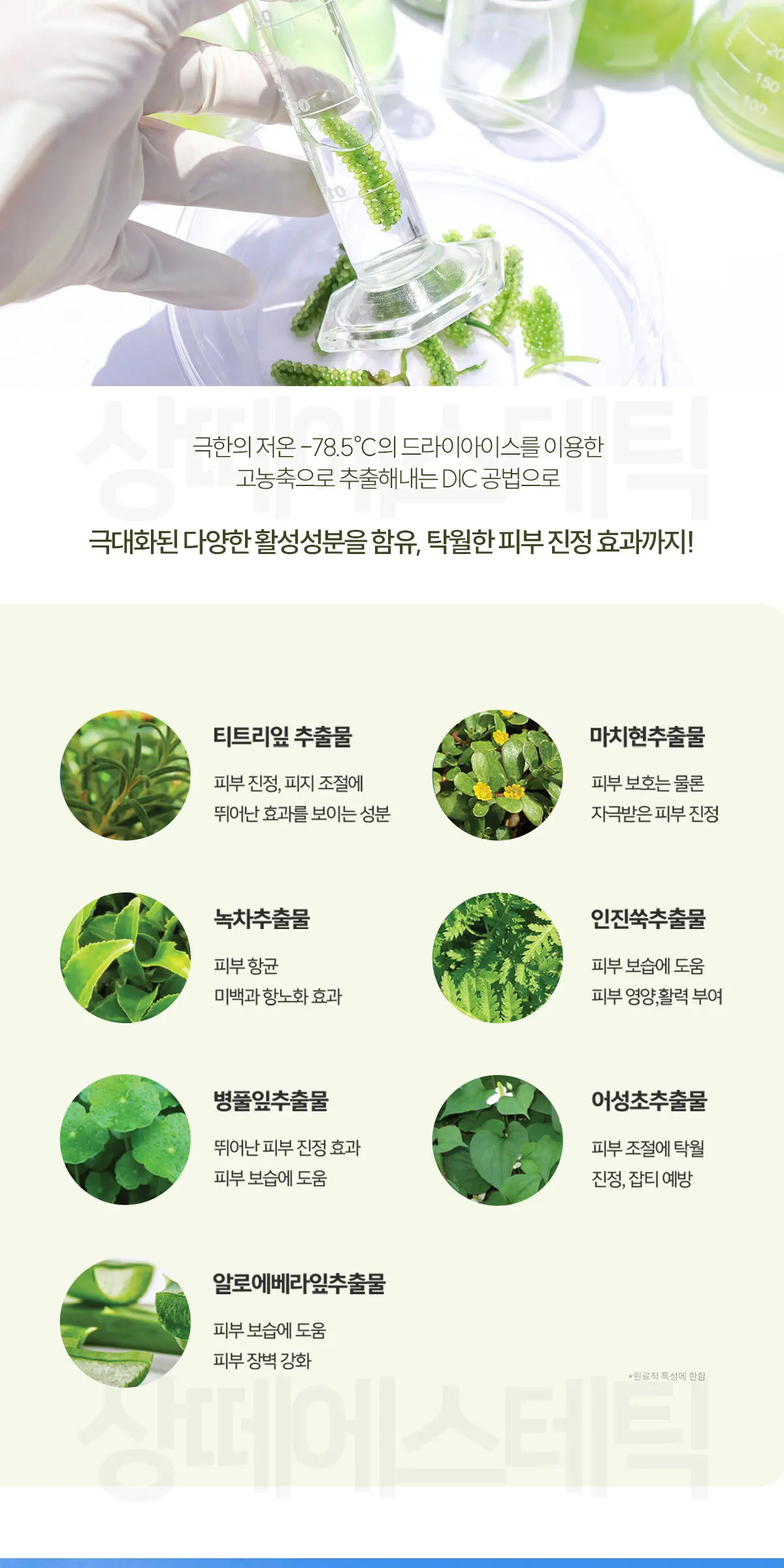 아줄렌 수더 미스트 100ml Detail