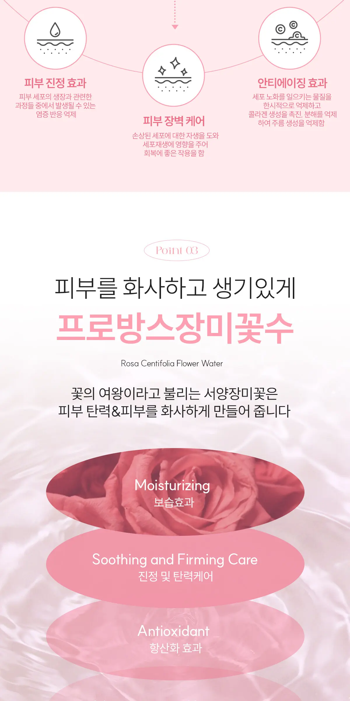 콜라겐 리더 앰플 100ml Detail