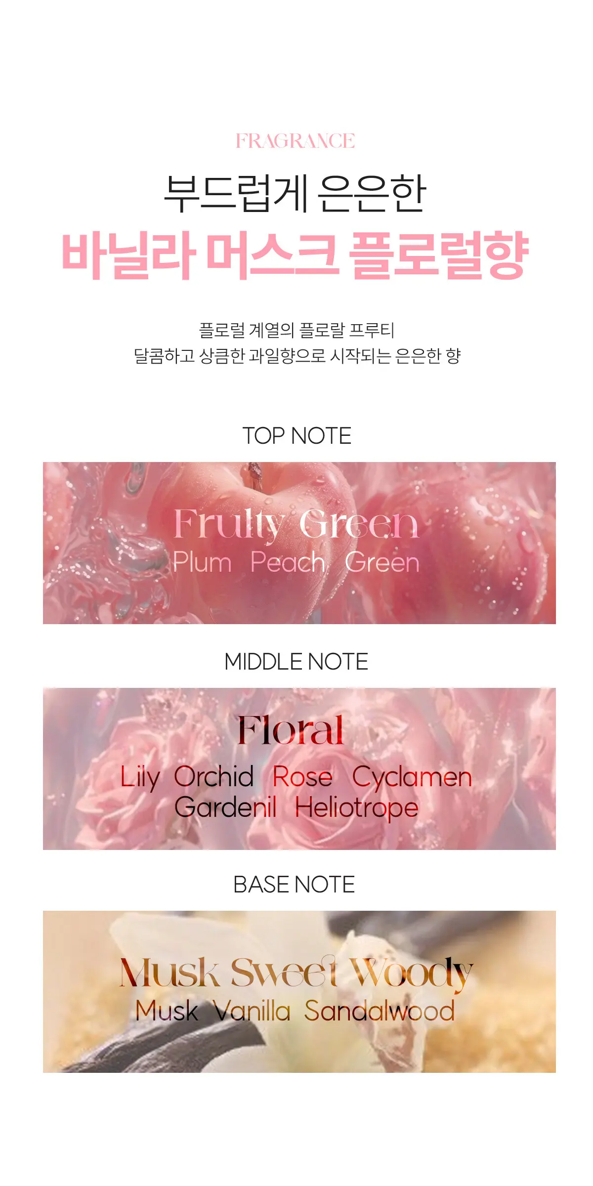 콜라겐 리더 앰플 100ml Detail