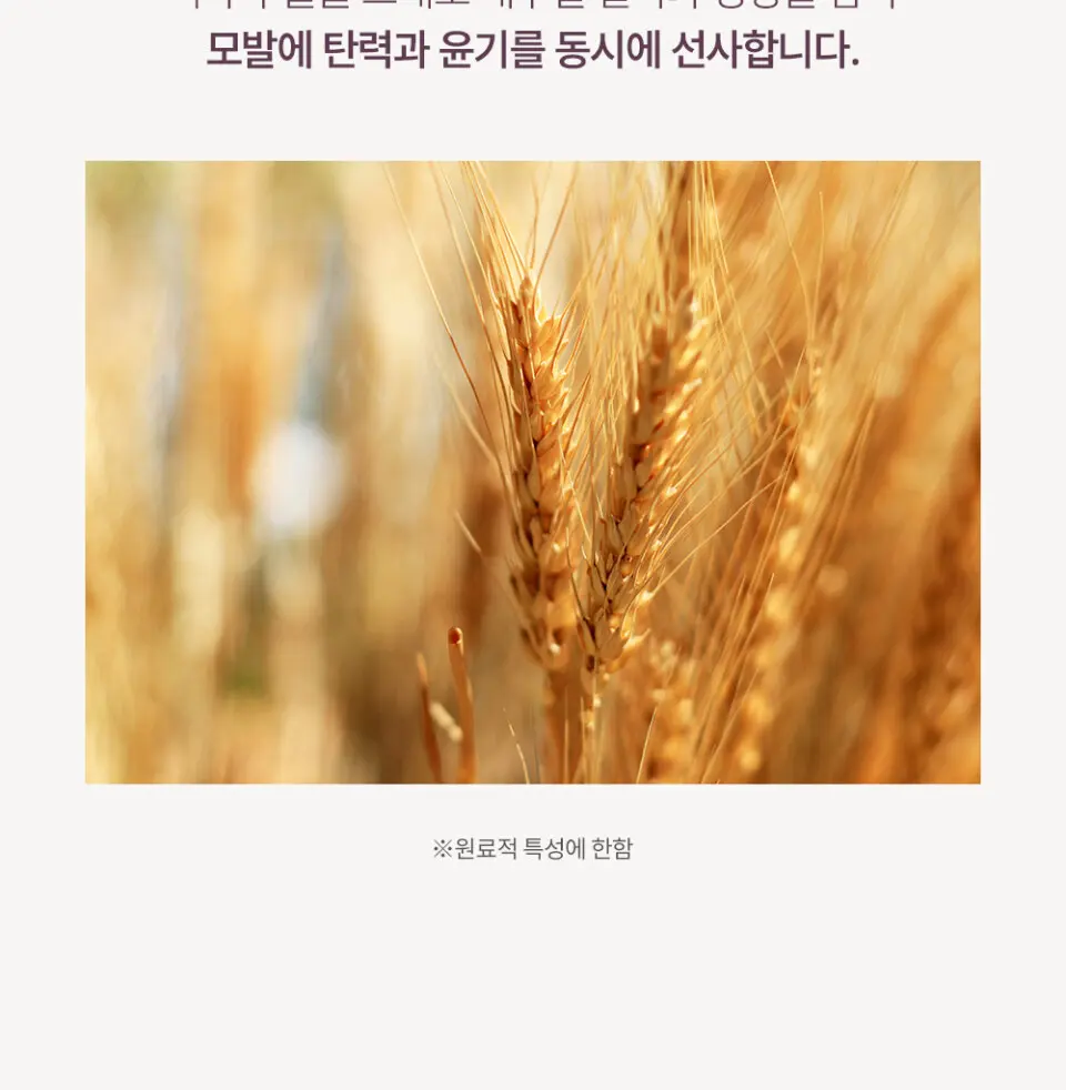 실크살롱 미라클밤 노워시 트리트먼트 100ml Detail