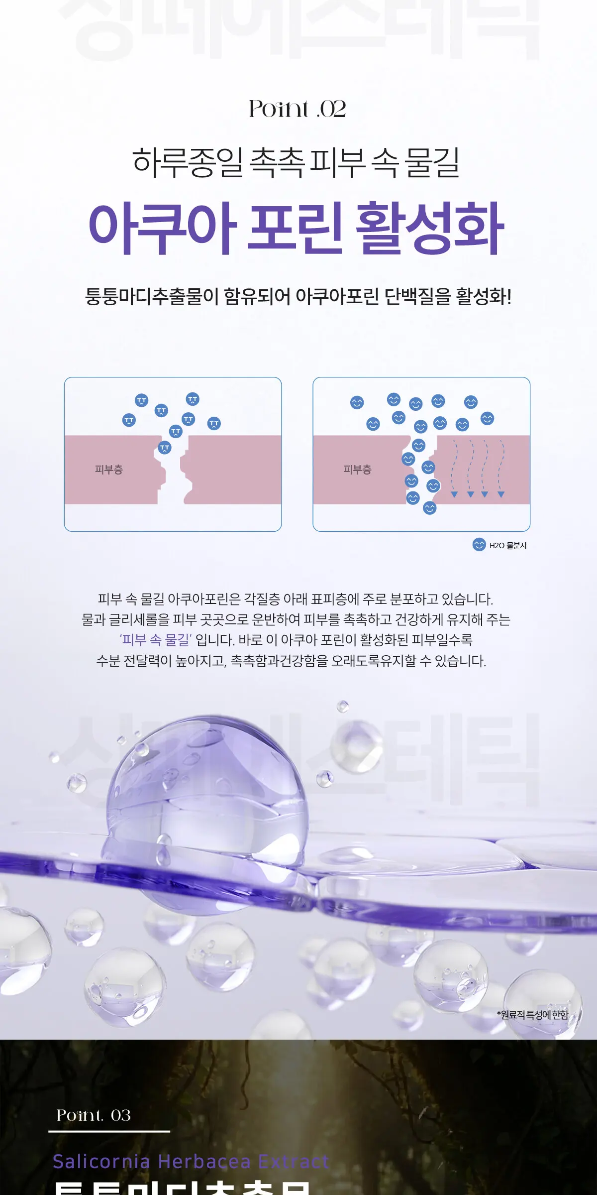 아줄렌 수더 앰플 100ML Detail