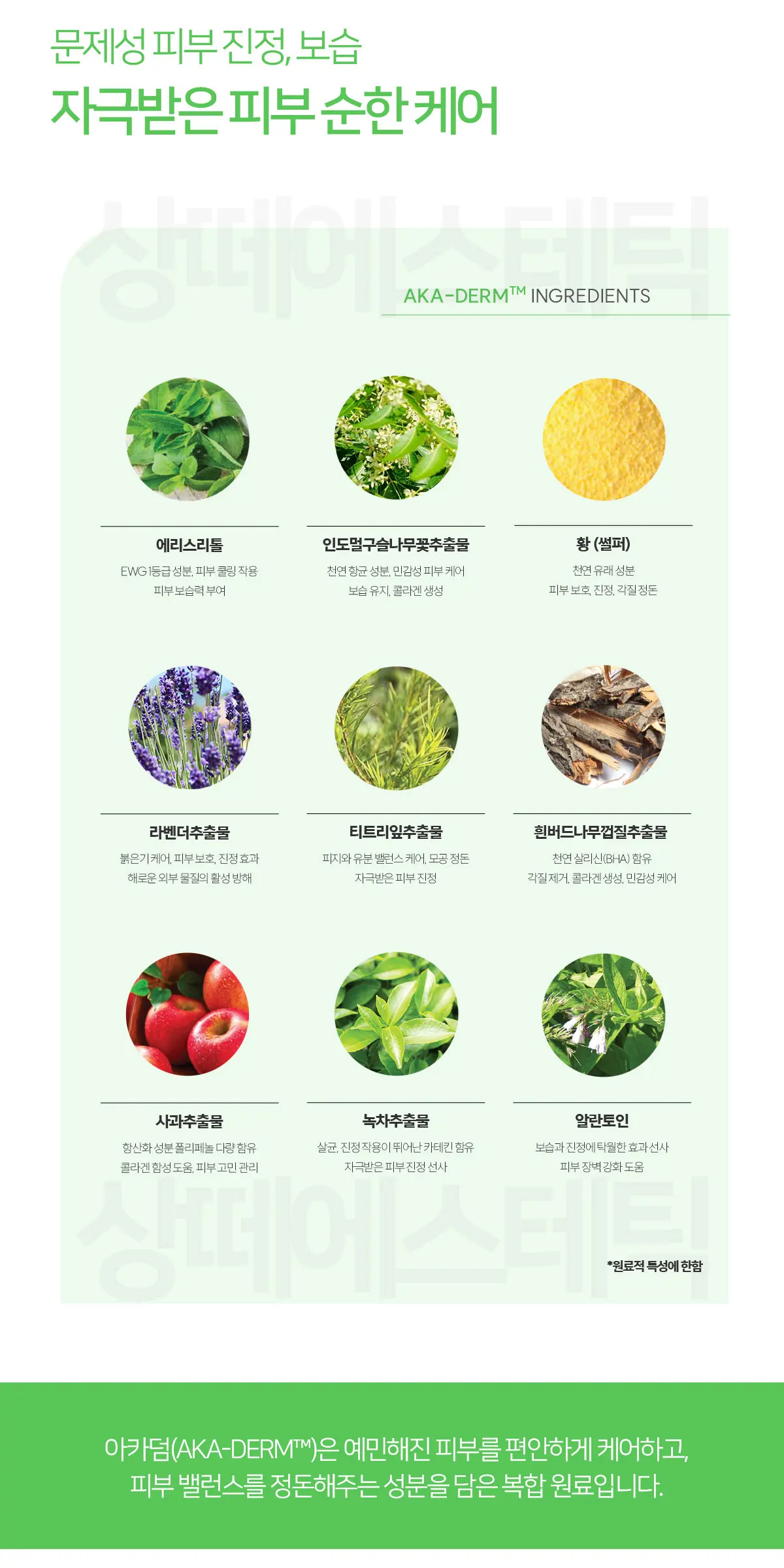 아르테미시아 아카 크림 150g Detail