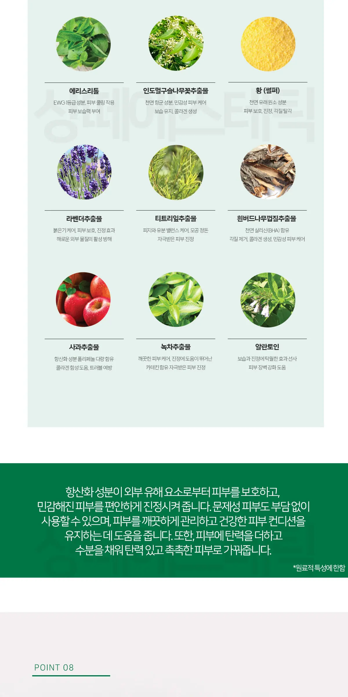 아르테미시아 아카 마스크 1box Detail