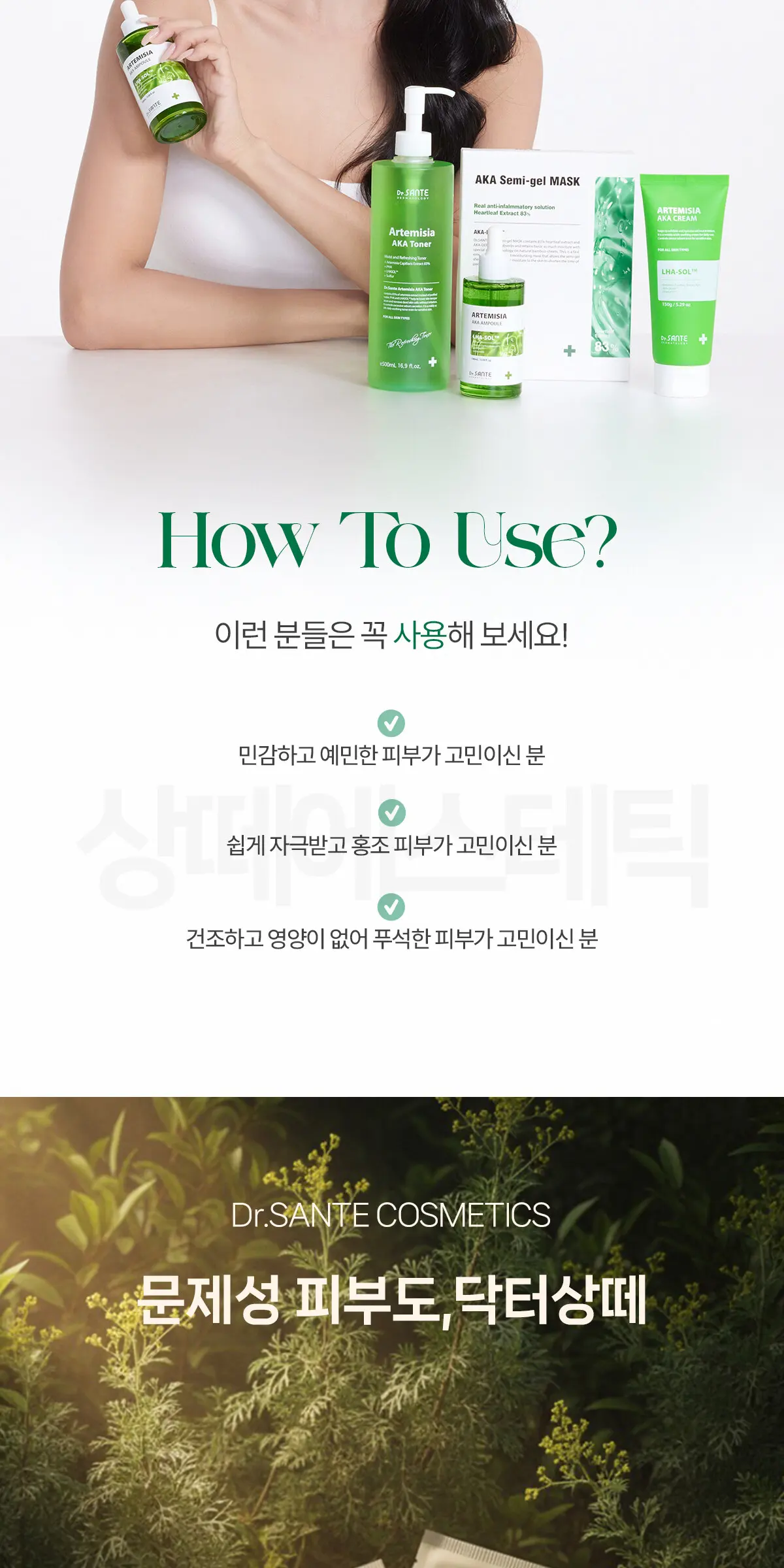 아르테미시아 아카 마스크 1box Detail