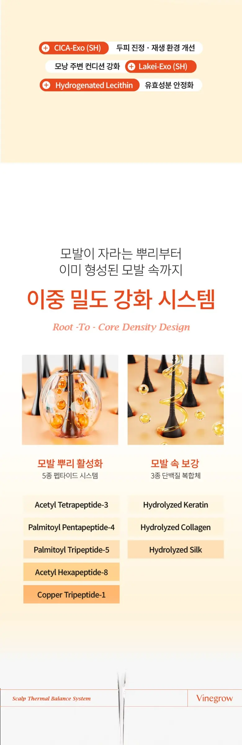바인그로우 엑소샷 두피 탈모 앰플, 2개, 120ml Detail