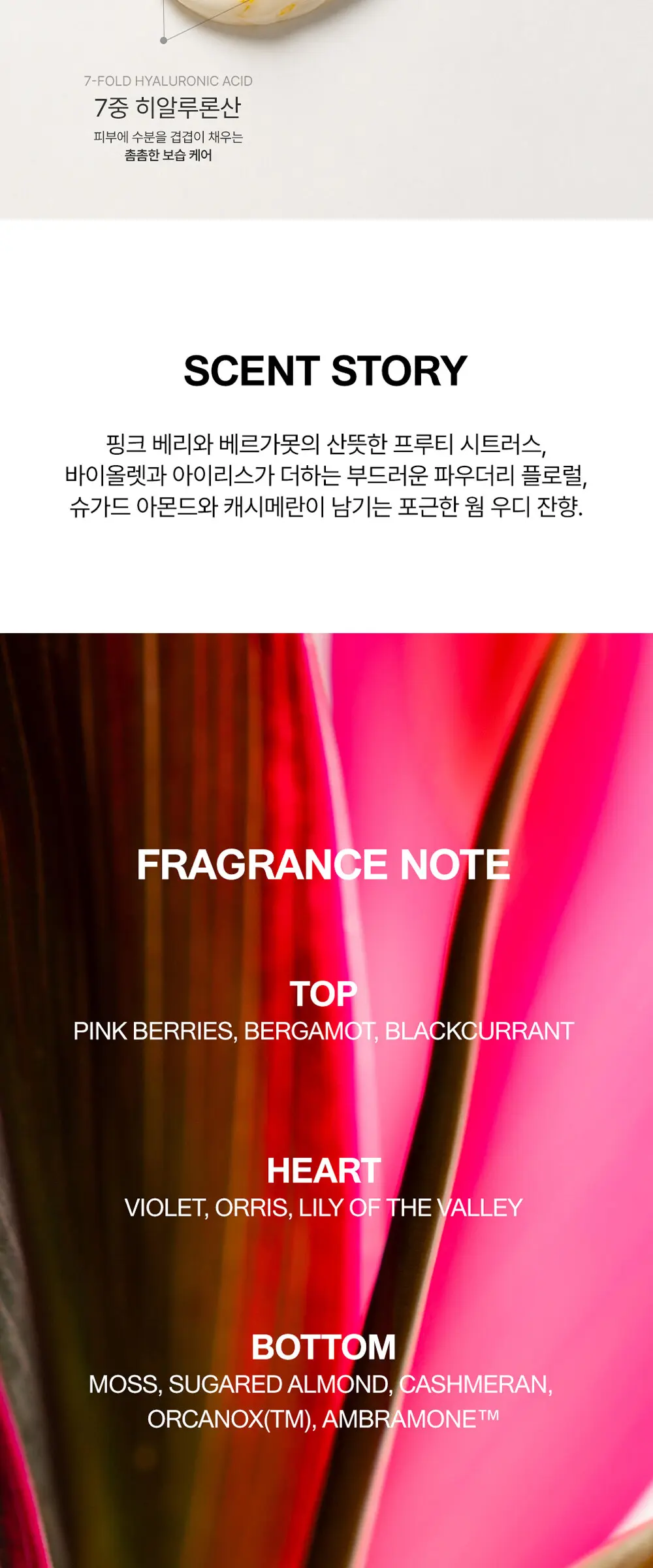 골드씰 판테놀 바디 크림 앰버 생귄 200ML Detail