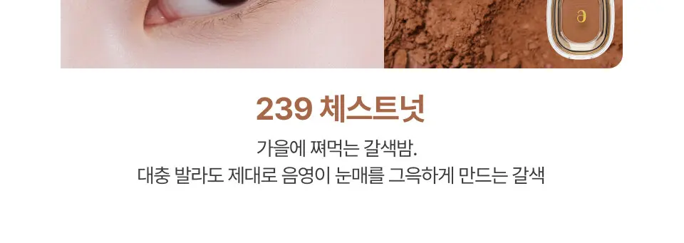 스텝베이직 24Color Detail