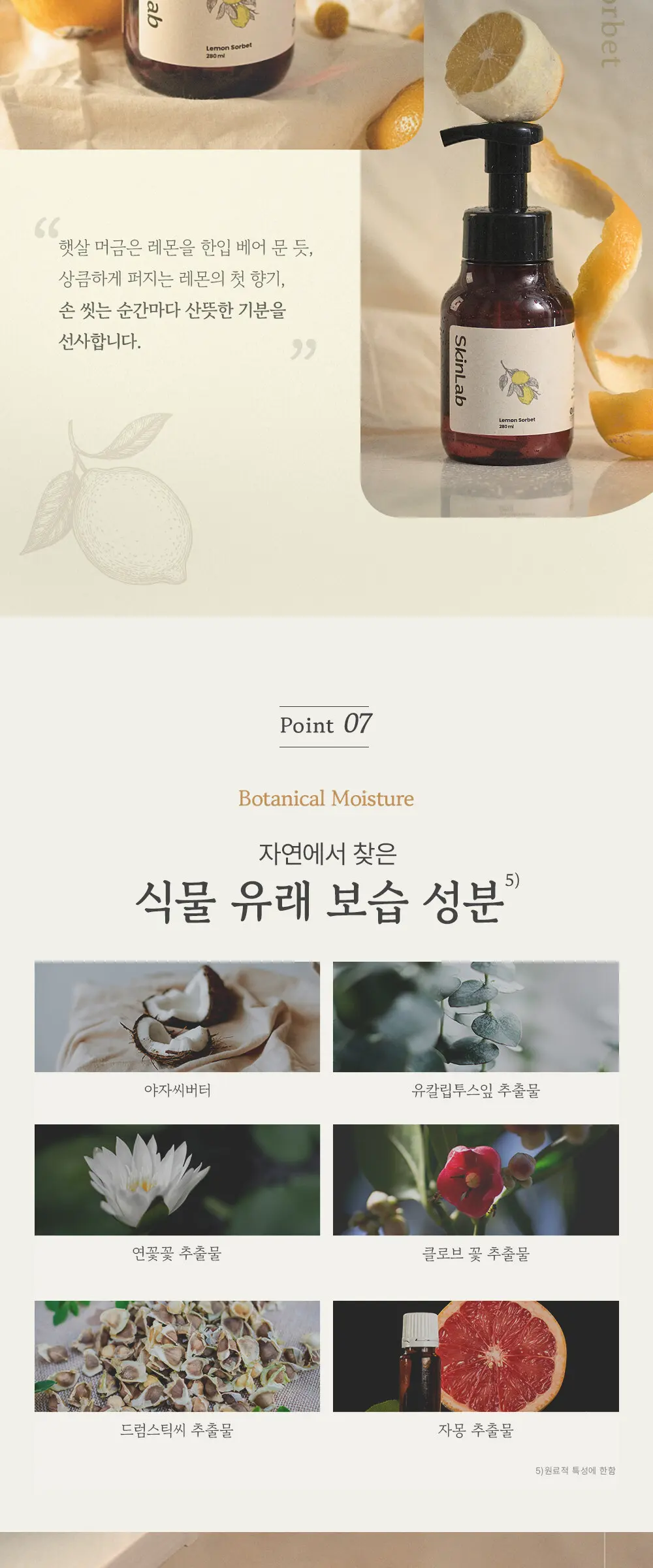 스킨랩 폼 핸드워시 레몬소르베 280ml Detail