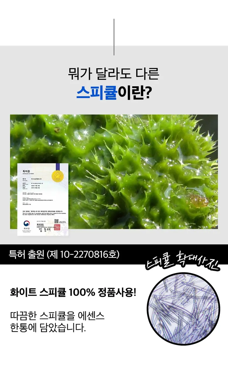 메디올가 따끔 블루 스피큘 3000ppm 피부결 모공케어 턴오버 에센스, 1개, 30ml Detail