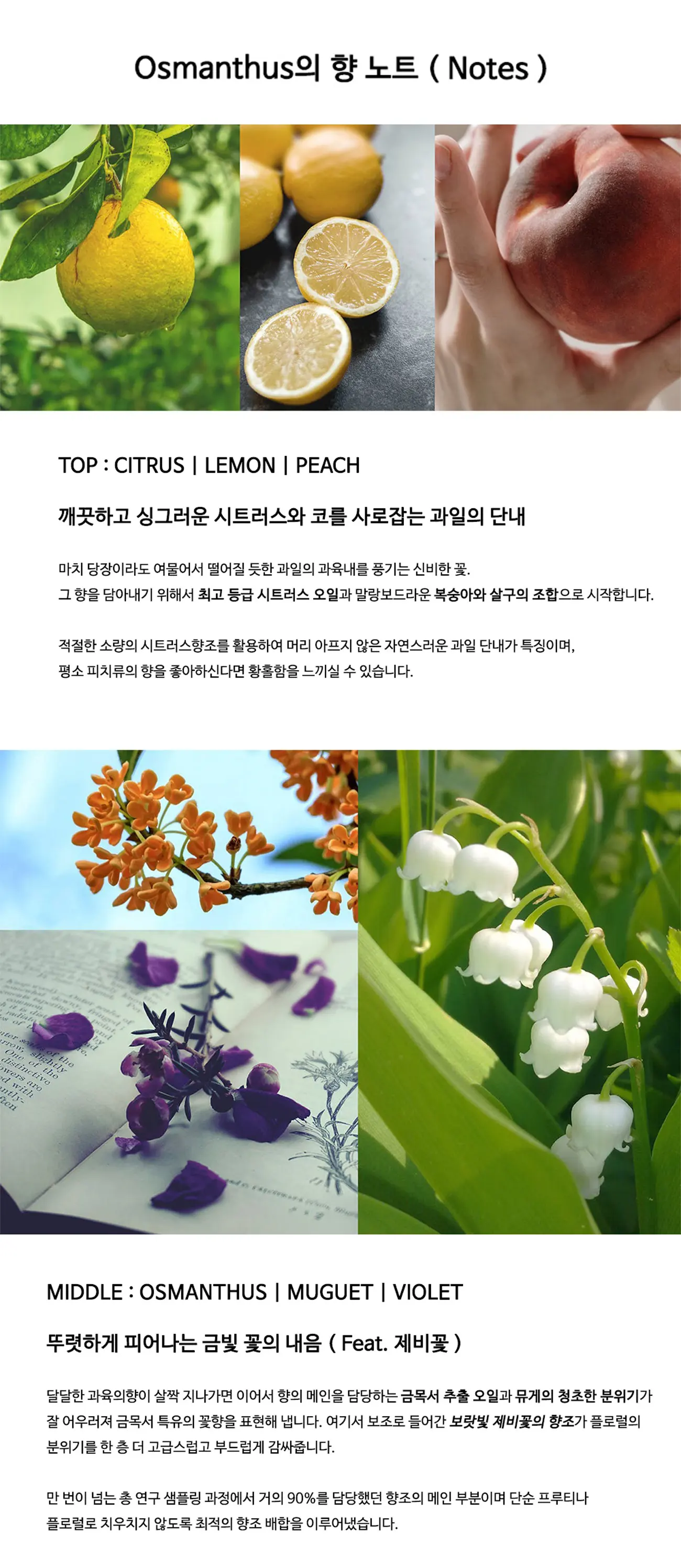 시그니처 금목서 오스만투스 헤어미스트 30ml Detail