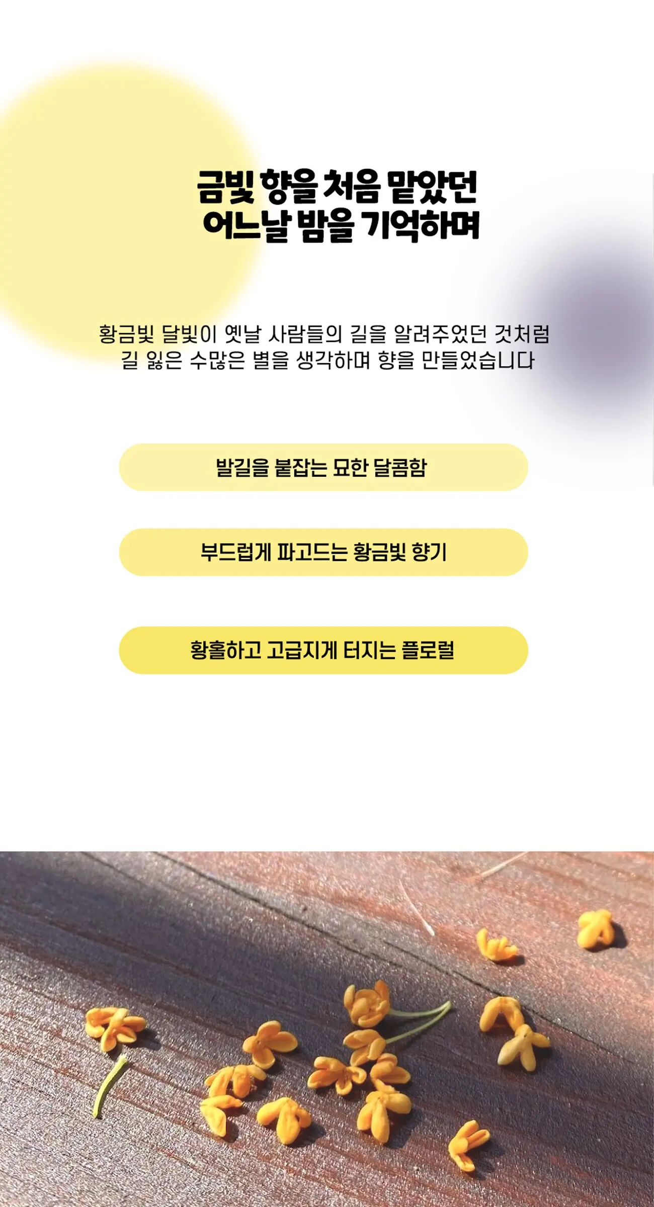 시그니처 금목서 오스만투스 헤어미스트 30ml Detail