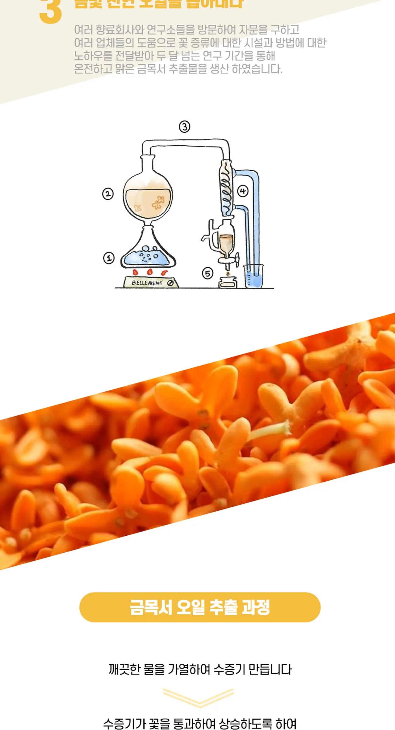 시그니처 금목서 오스만투스 헤어미스트 30ml Detail