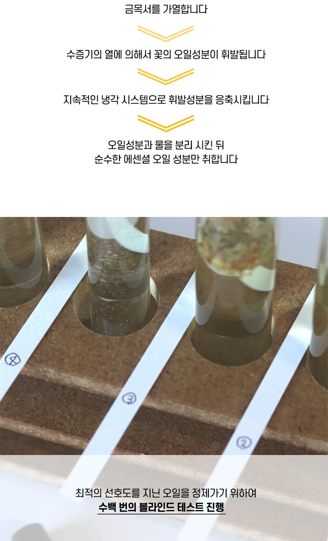 시그니처 금목서 오스만투스 헤어미스트 30ml Detail