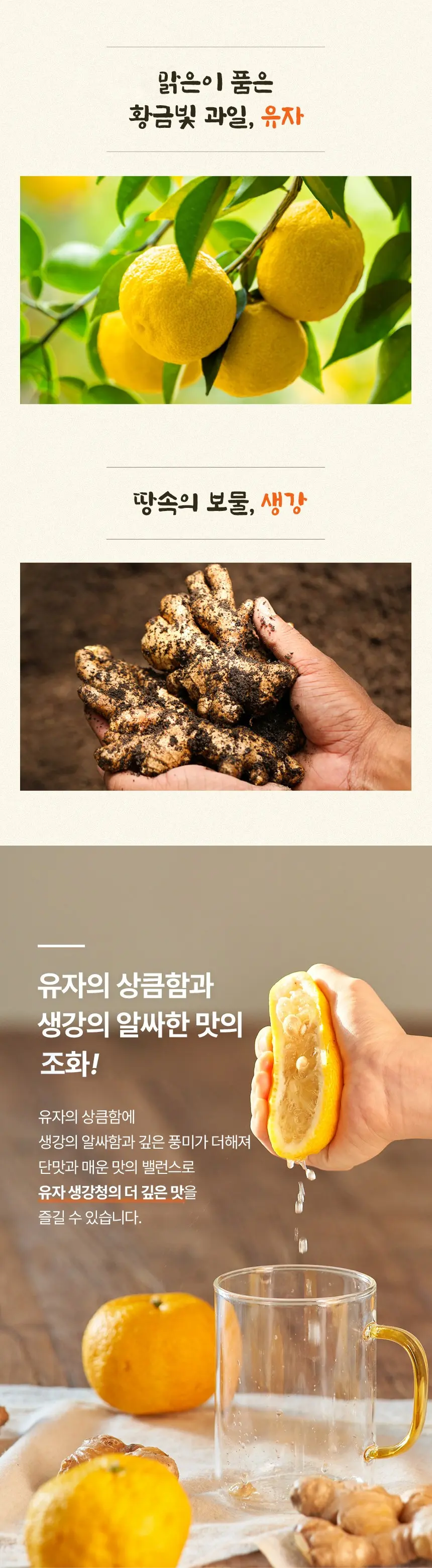 유기농마루 정품 맛있는 유자 생강청 30p, 300g, 1개 Detail