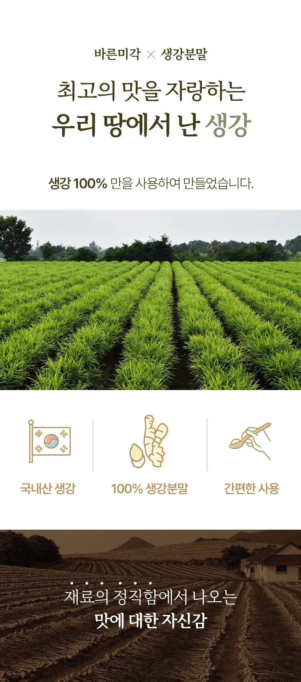 바른미각 생강분말, 35g, 1개 Detail