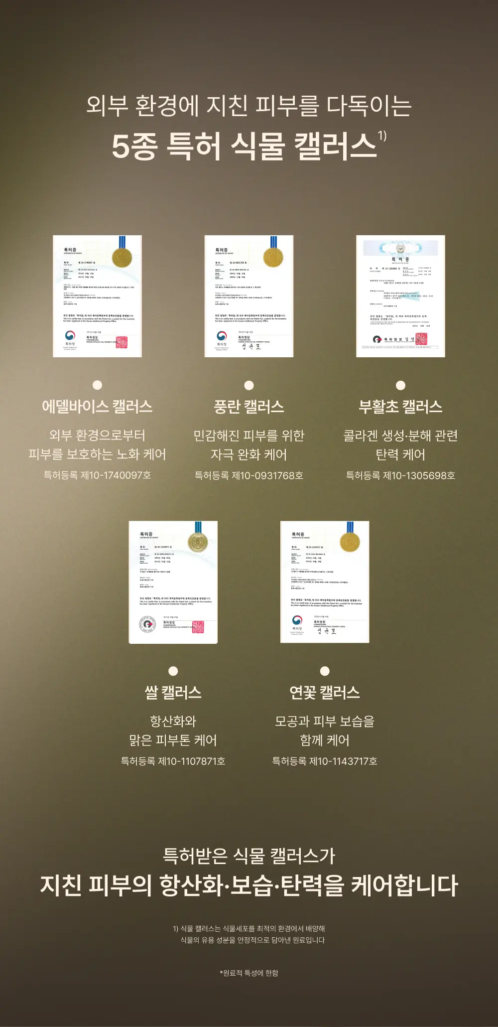 피토 엑소좀 리프팅 크림 (50g) Detail
