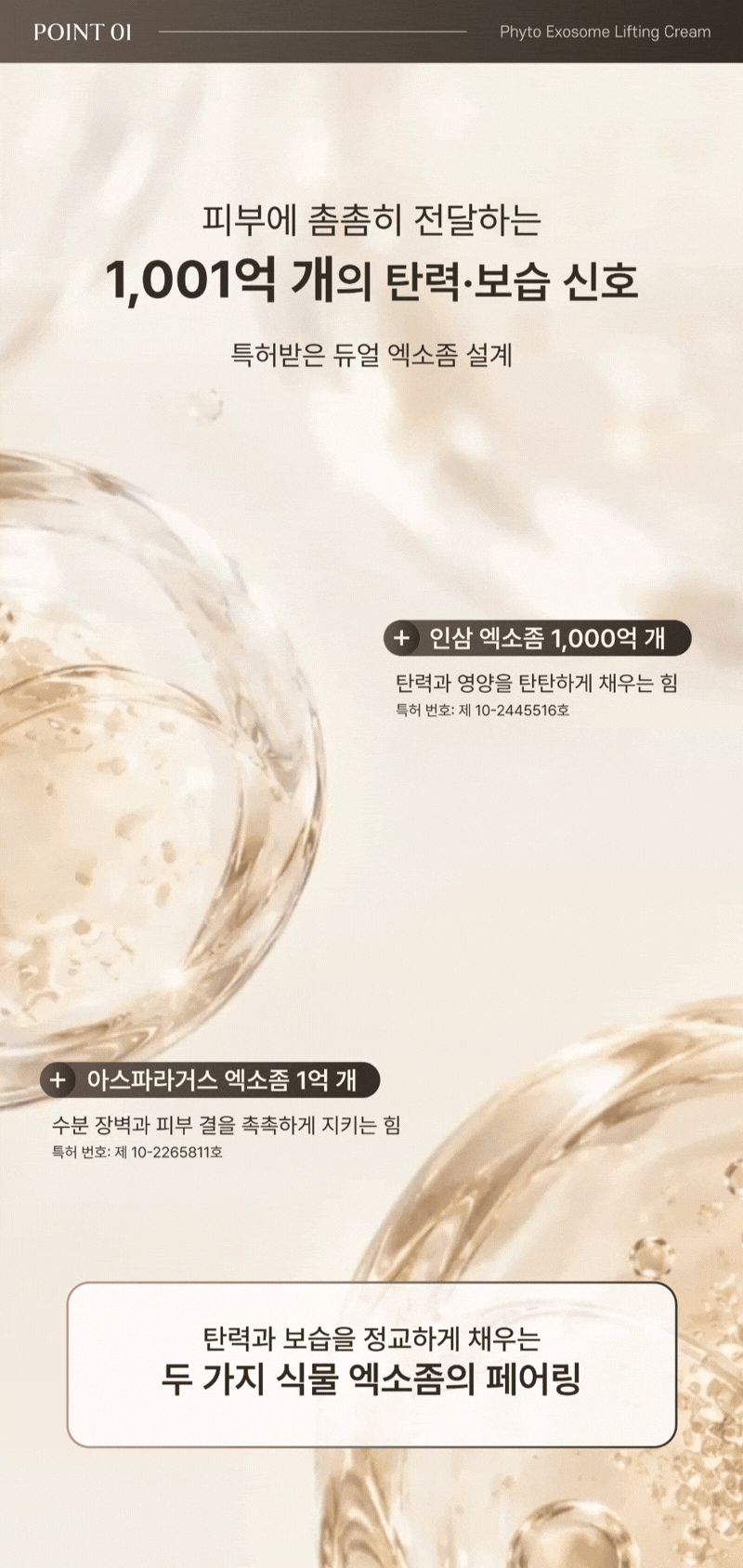 피토 엑소좀 리프팅 크림 (50g) Detail