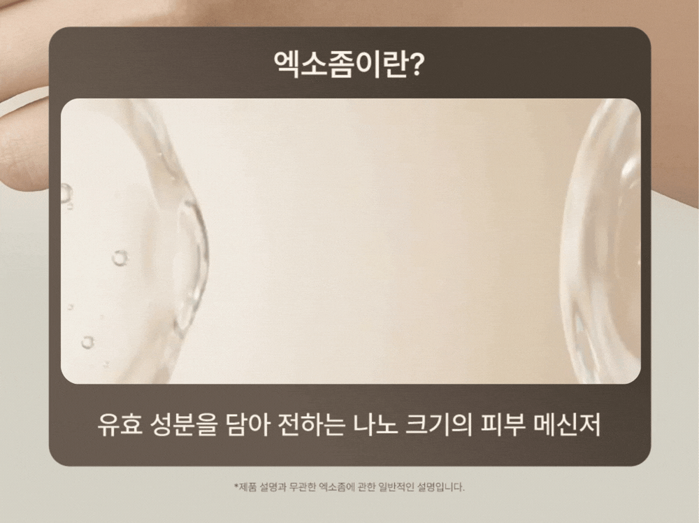피토 엑소좀 리프팅 크림 (50g) Detail