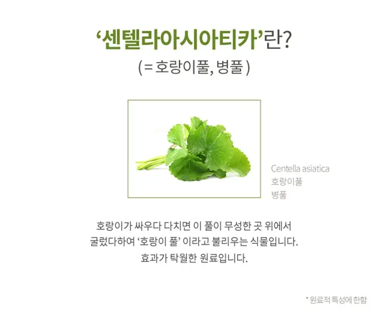 자이모겐 센텔라 발효 크림, 50ml, 1개 Detail
