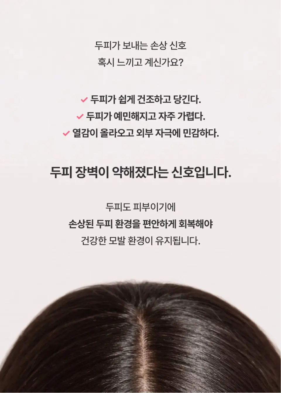 오루트 프리에이징 리페어 두피 세럼 50ml Detail