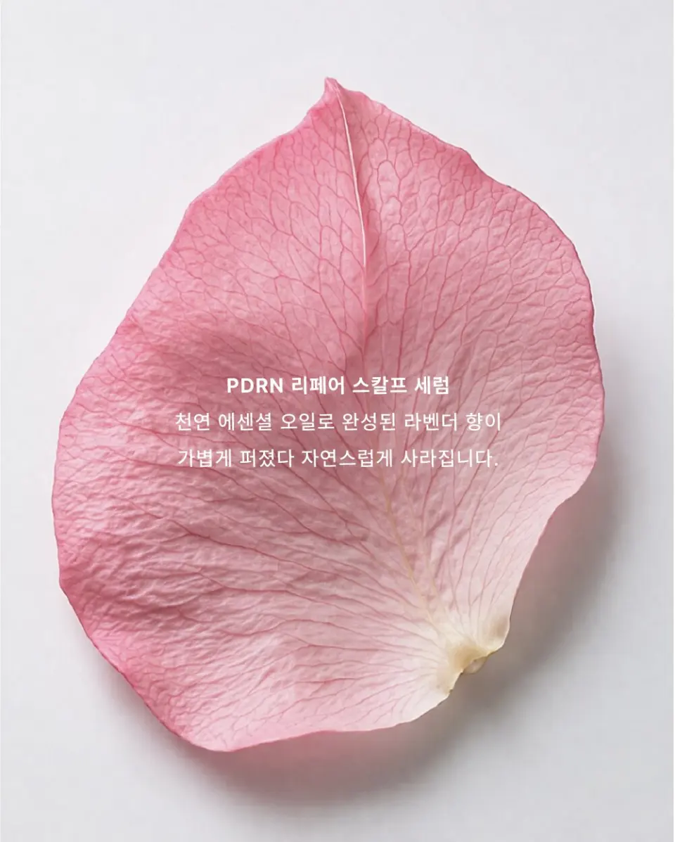 오루트 프리에이징 리페어 두피 세럼 50ml Detail