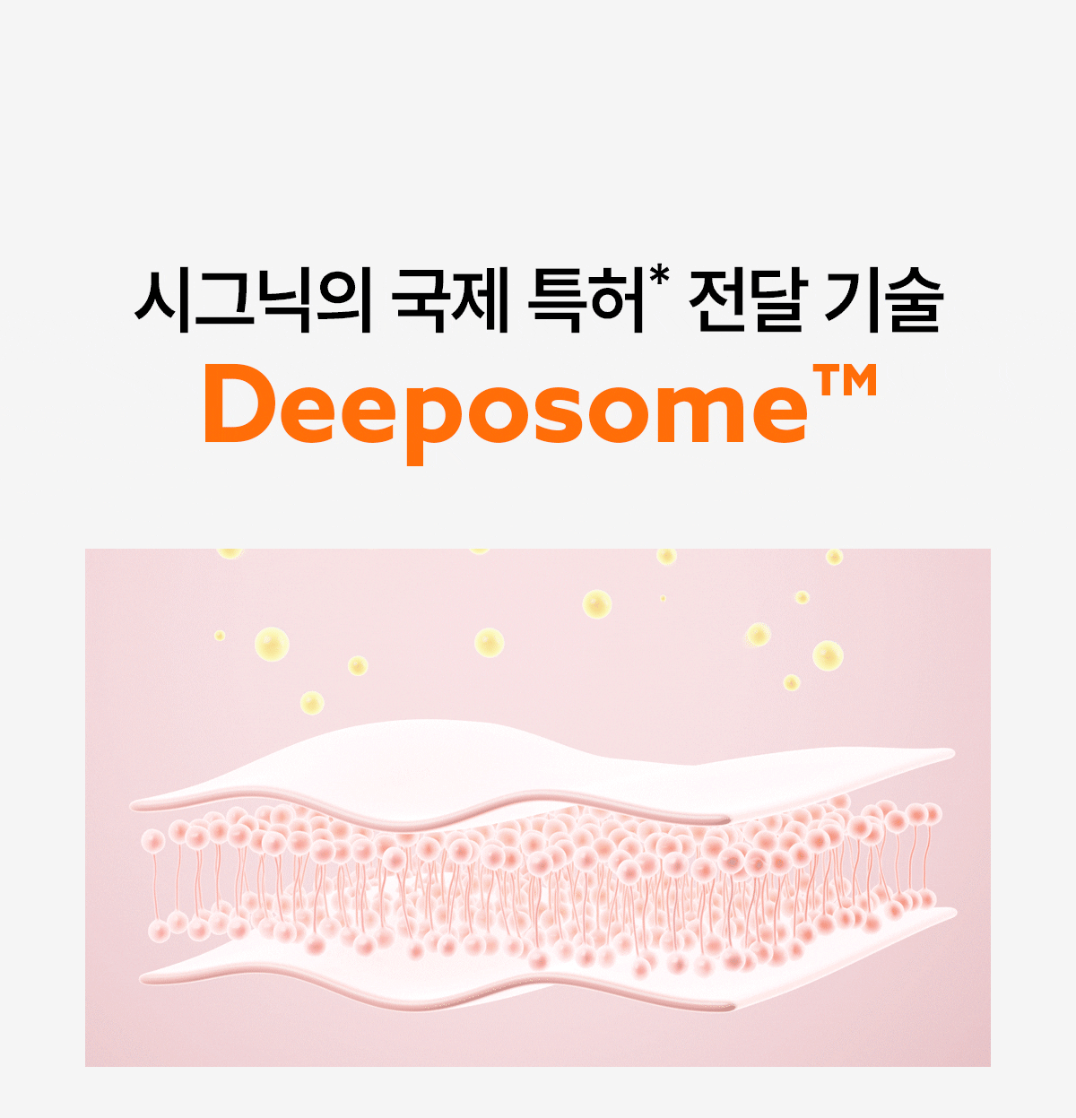 펩타이드 바운스 업 크림 50ml Detail
