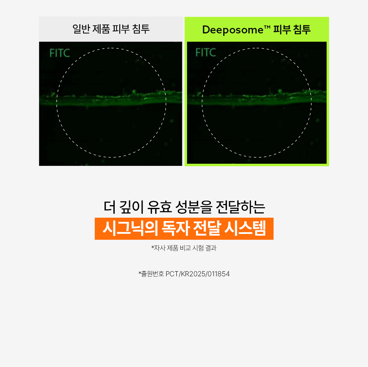 펩타이드 바운스 업 크림 50ml Detail