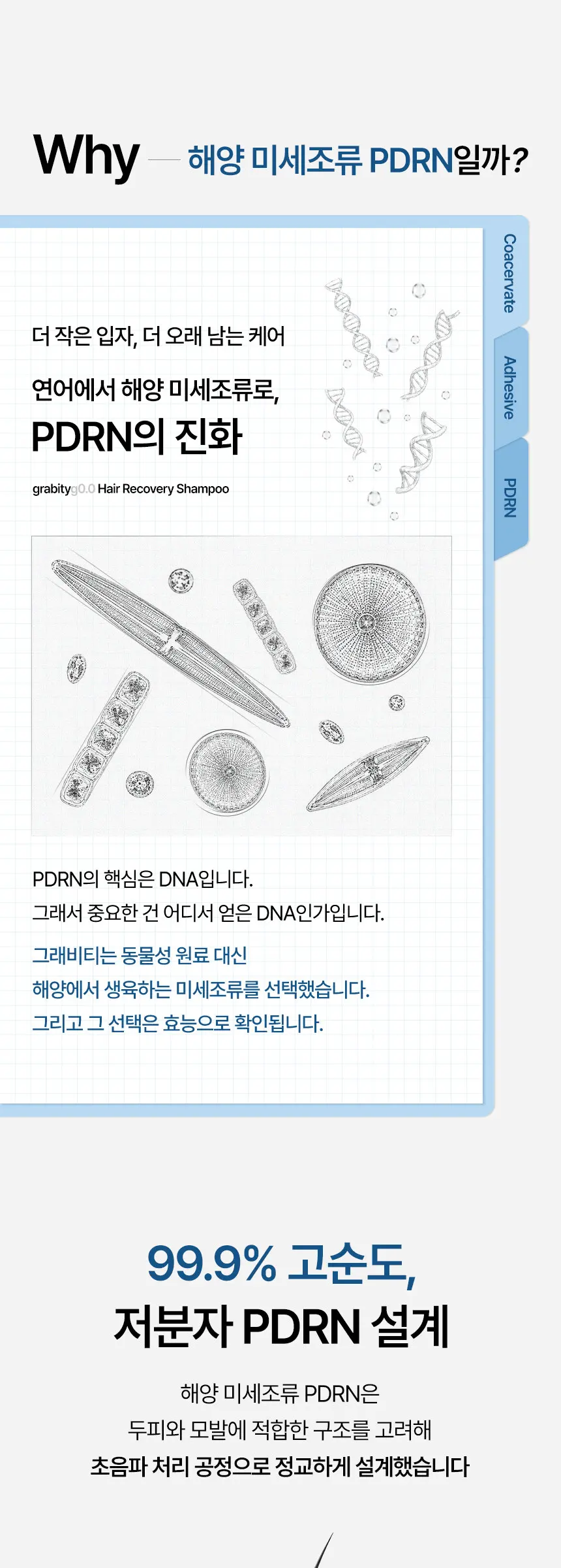 헤어 리커버리 샴푸 50ml Detail