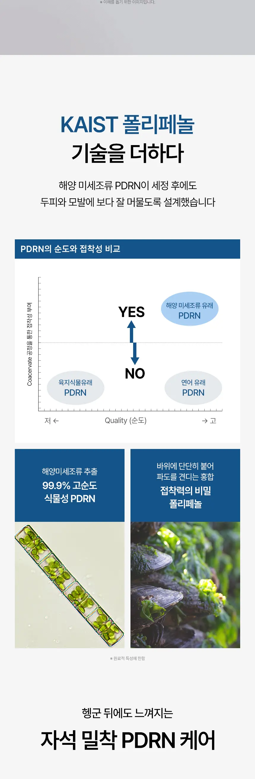 헤어 리커버리 샴푸 50ml Detail