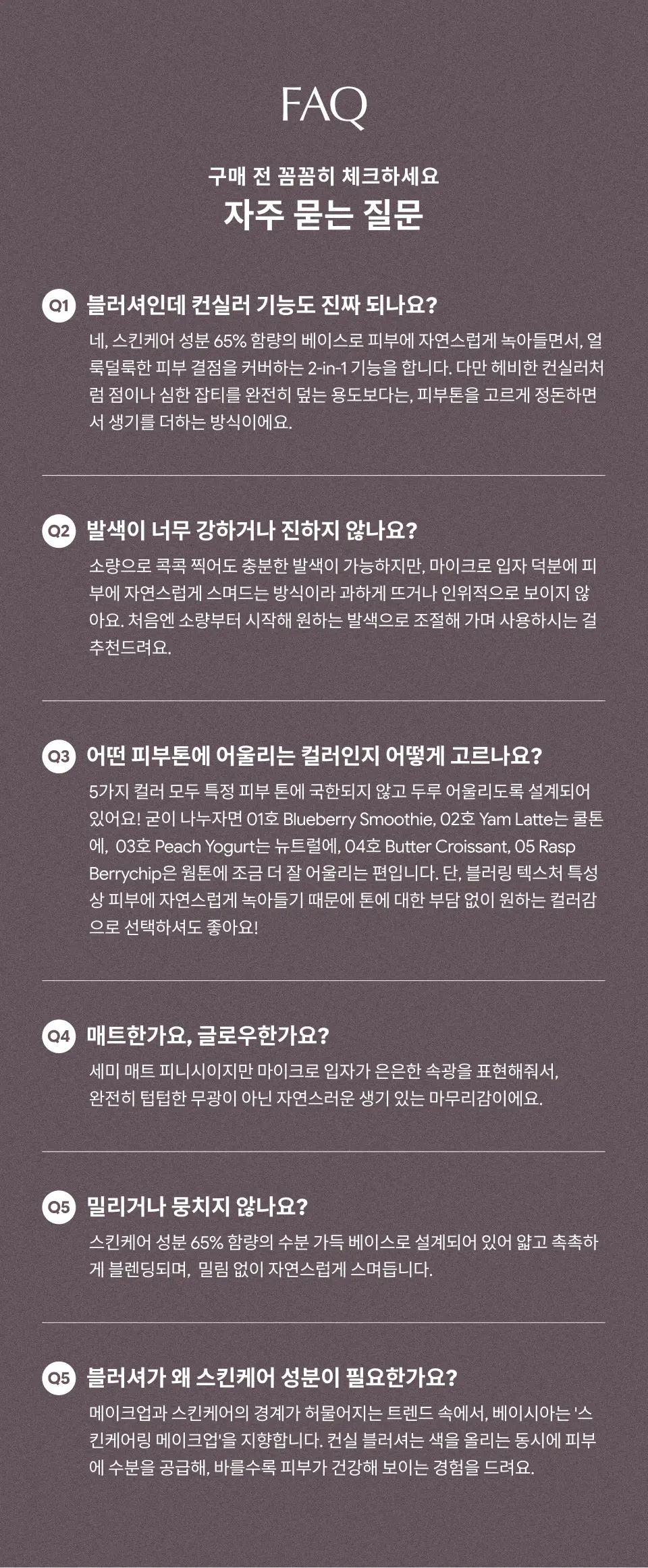 컨실 블러셔 블러리 에디션 5COLOR Detail