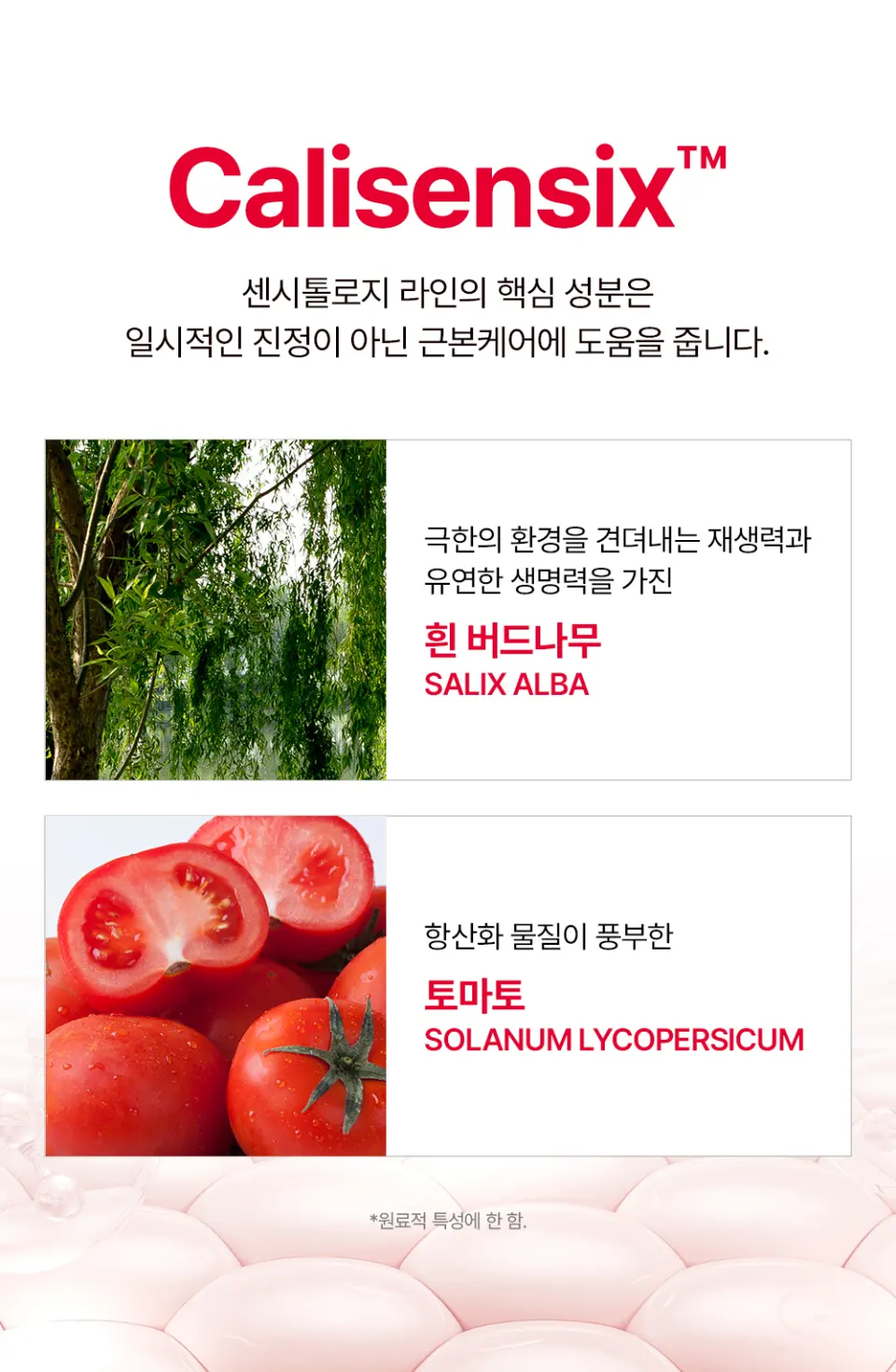 센시톨로지 더마 진정 장벽크림 80ml Detail