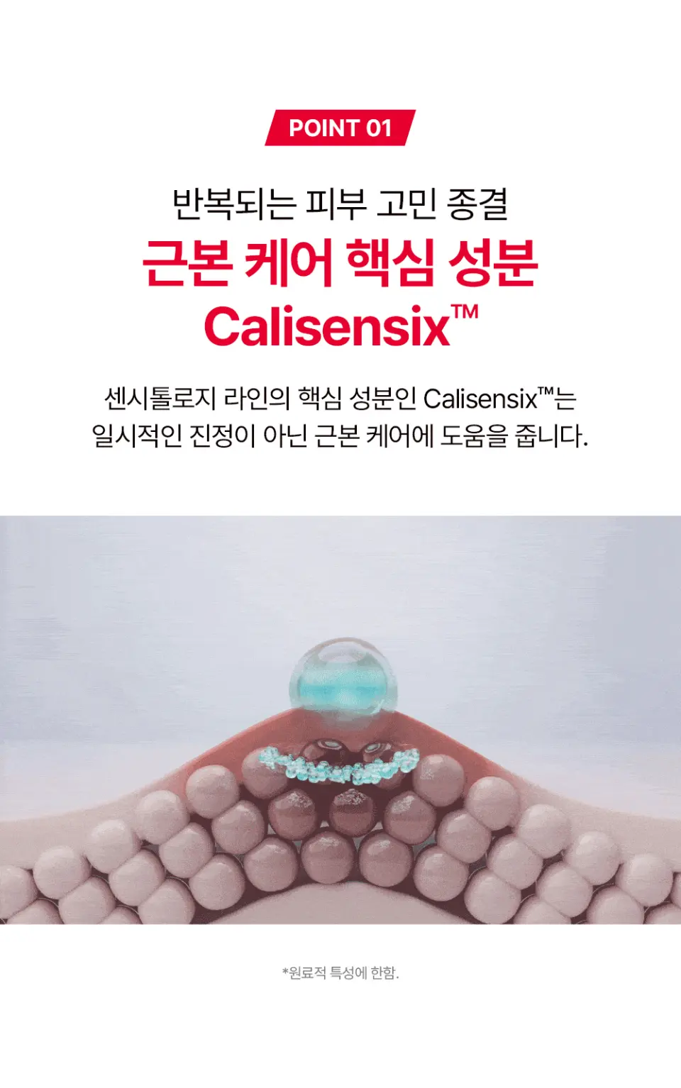 센시톨로지 더마 진정 장벽크림 80ml Detail