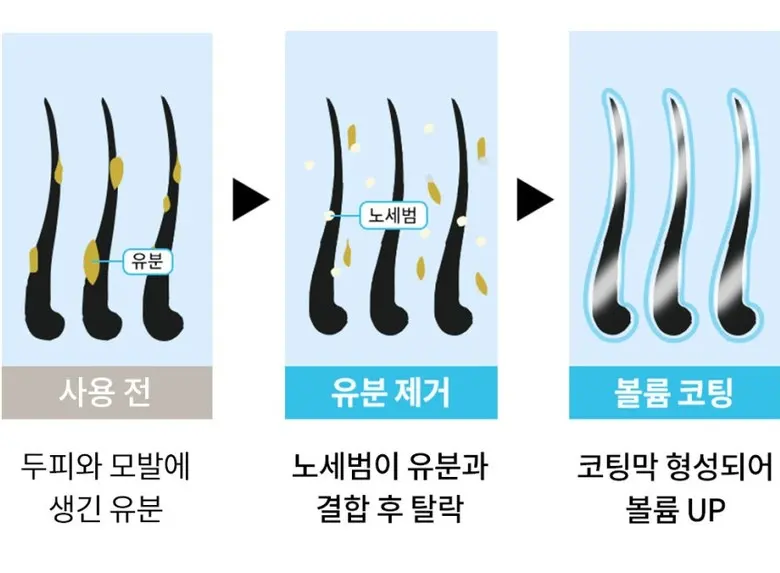벨카 헤어퀵 노세범파우더 8g 떡진머리 소생템 헤어 전용 노세범 앞머리기름 정수리냄새, 1개 Detail