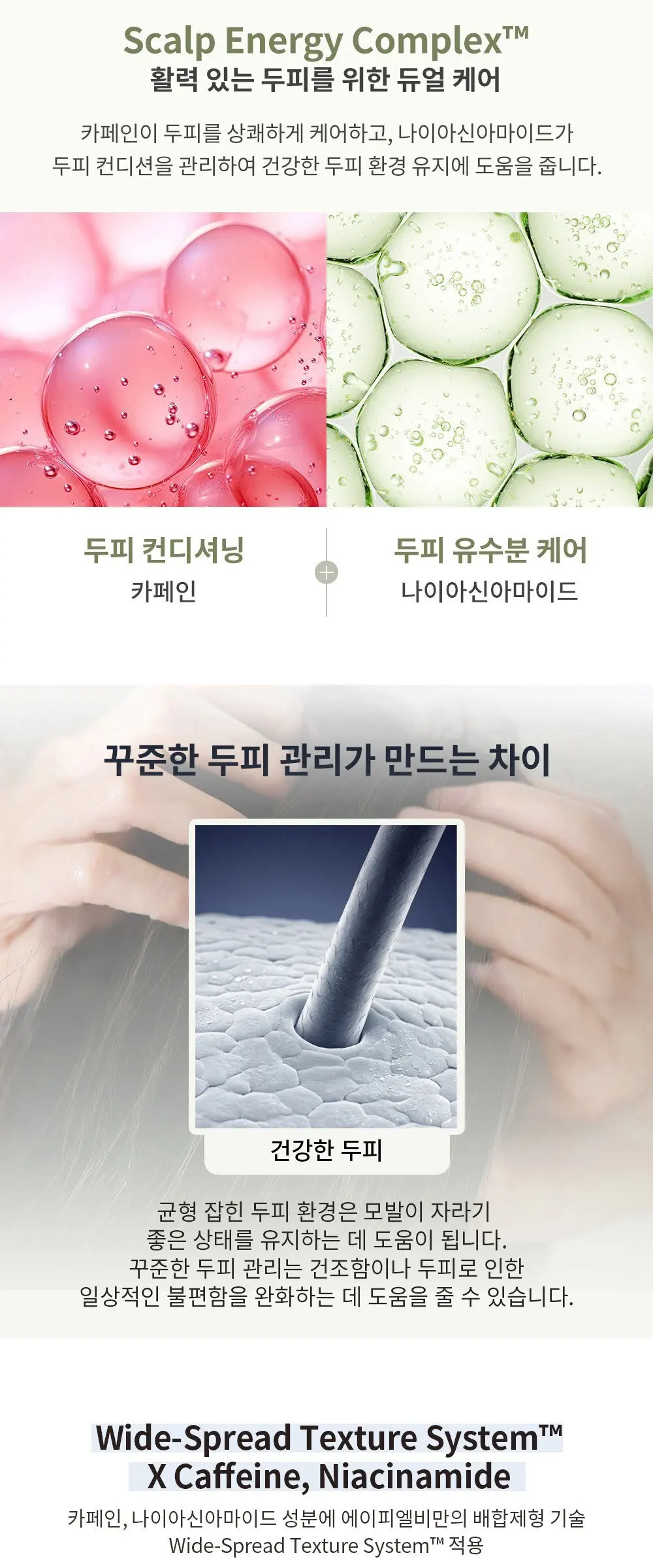 APLB 데일리 솔루션 스칼프 세럼, 1개, 40ml Detail
